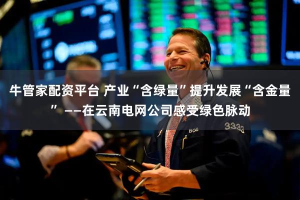 牛管家配资平台 产业“含绿量”提升发展“含金量” ——在云南电网公司感受绿色脉动