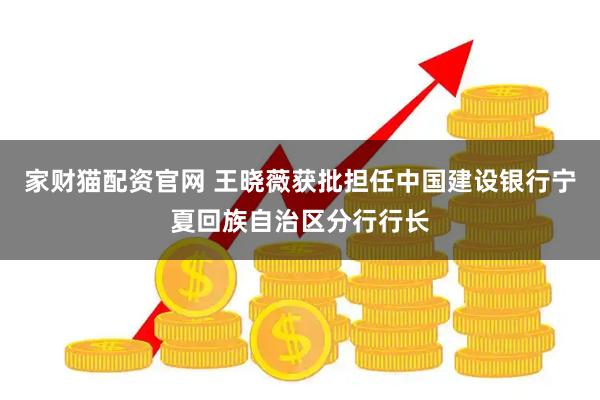 家财猫配资官网 王晓薇获批担任中国建设银行宁夏回族自治区分行行长