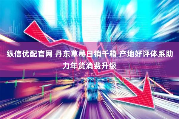纵信优配官网 丹东草莓日销千箱 产地好评体系助力年货消费升级